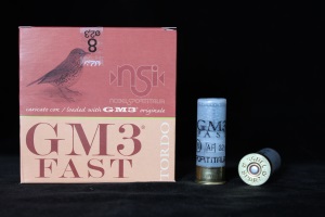 small_nsi-gm3-fast-32gr